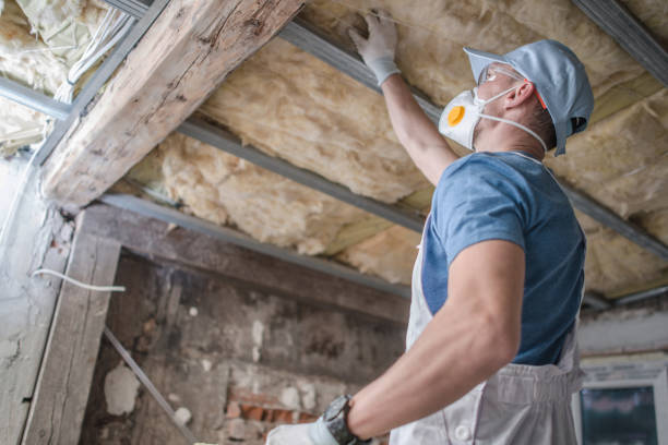 Professional Insulation Contractor in Valley Springs, CA