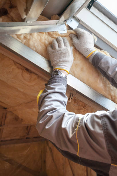 Best Eco-Friendly Insulation in Valley Springs, CA