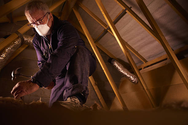 Types of Insulation We Offer in Valley Springs, CA